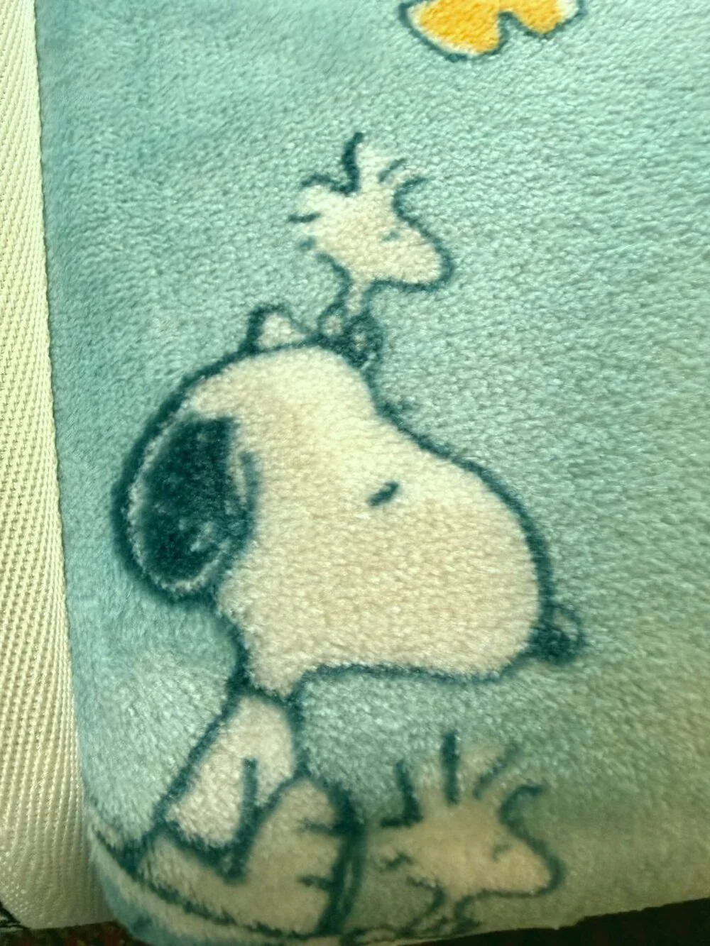 Snoopy Peanuts Summer Beach Berkshire Blue Throw 60x70 NWT
